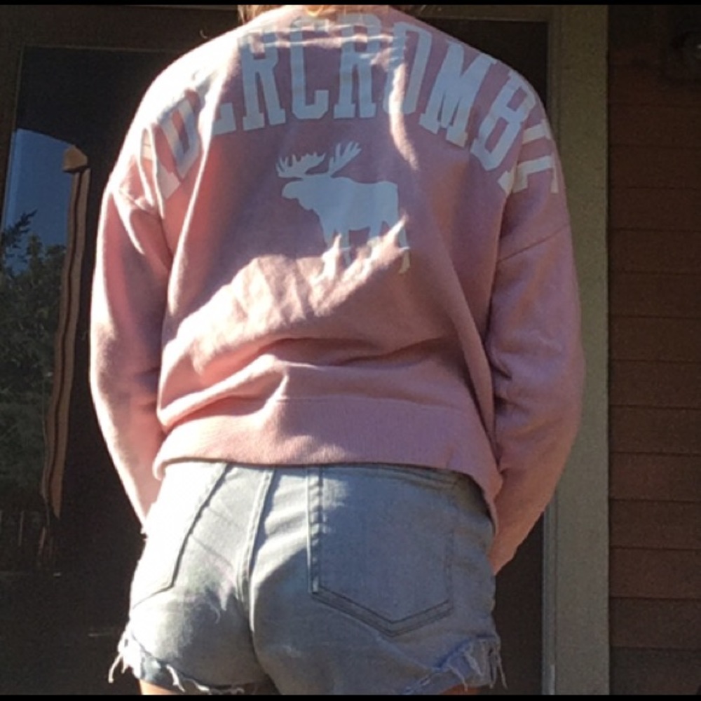Abercrombie Pink Moose Sweatshirt